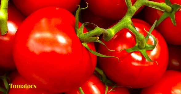 Growing Tomatoes from Seed in Your Kitchen Garden: A Step-by-Step Guide